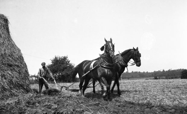 photo of Mason Dillon behind the plow
