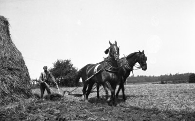 photo of Mason Dillon behind the plow