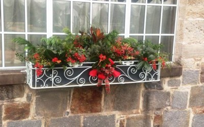 Studio Decorated for Holidays