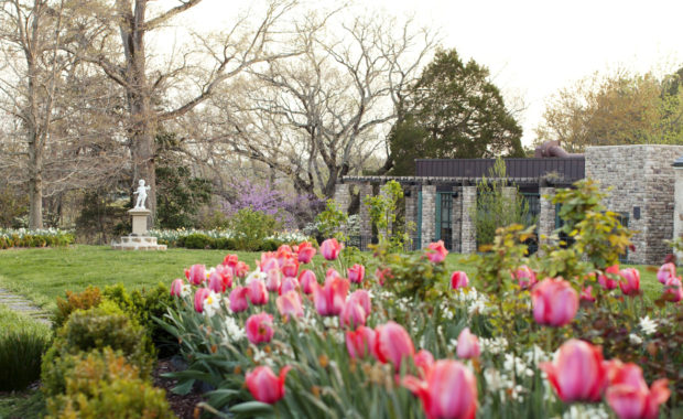 Spring Garden