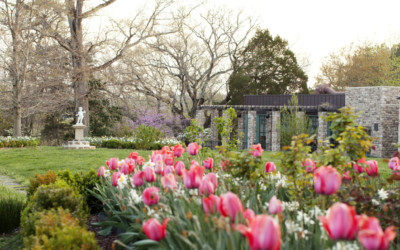 Spring Garden