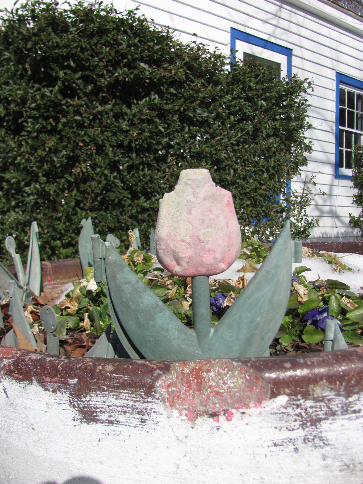 Sole surviving decorative tulip