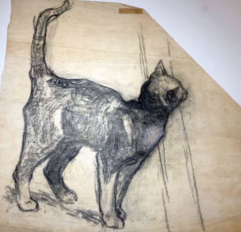 sketch of cat